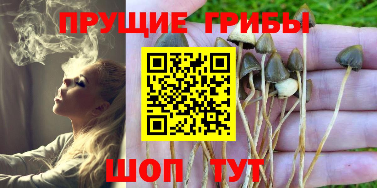 Славянск-на-Кубани  Галлюциногенные грибы Psilocybe  Вход с VPN  Галлюциногенные грибы прущие грибы 